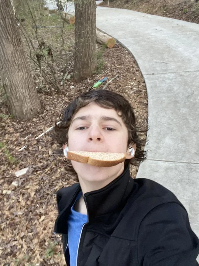 Toad walking with bread in his mouth